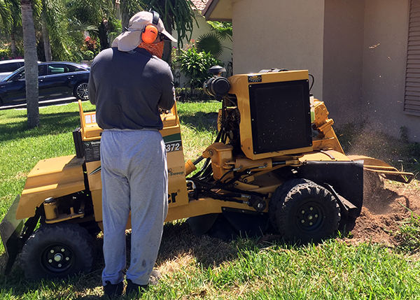 boca raton residential stump grinding