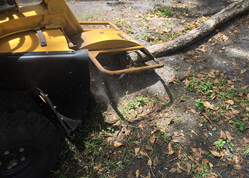 boca raton residential stump grinding services